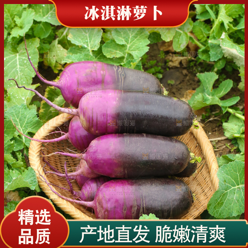 地里的冰淇凌萝卜