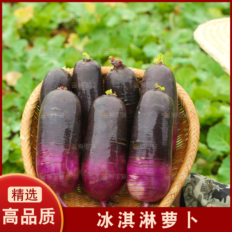 手里拿着冰淇凌萝卜