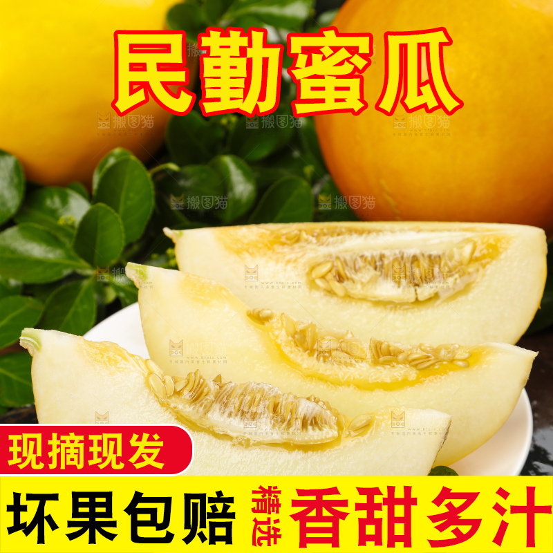 深底上的黄河蜜瓜