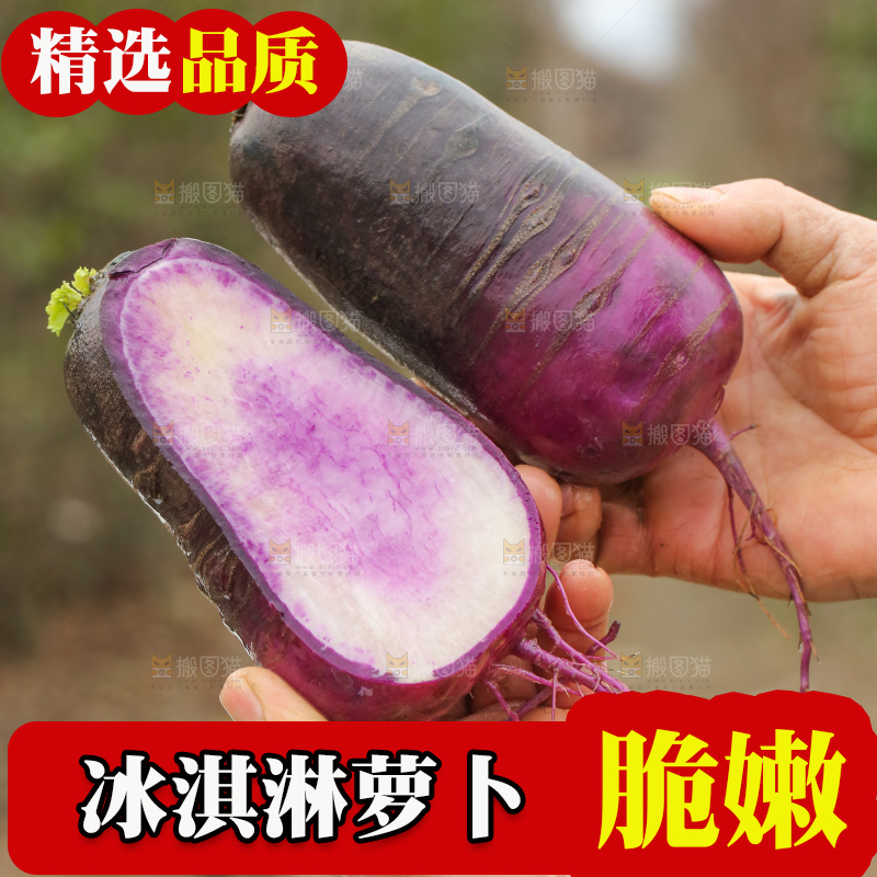 手里拿着冰淇凌萝卜