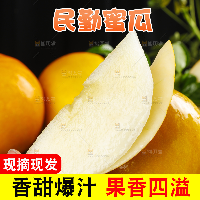 深底上的黄河蜜瓜