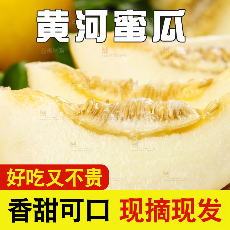深底上的黄河蜜瓜