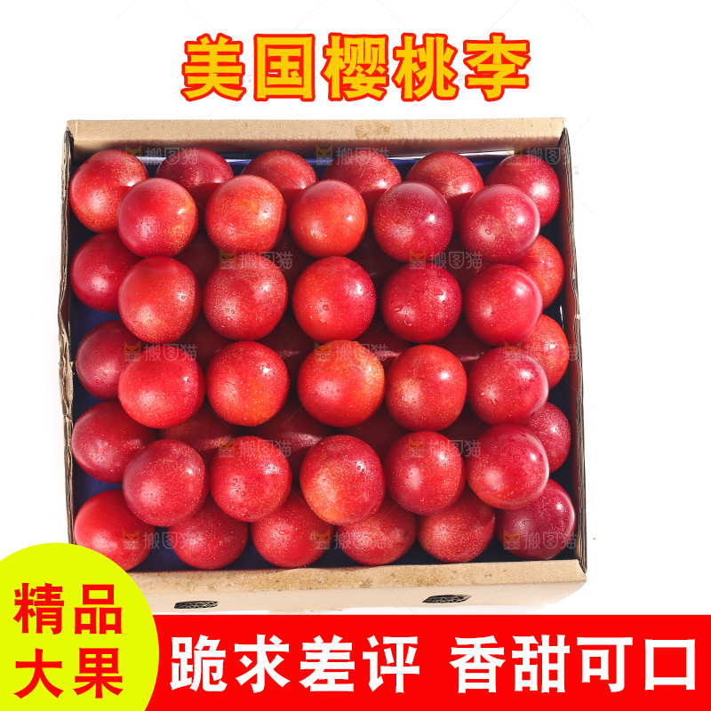 白底上的樱桃李
