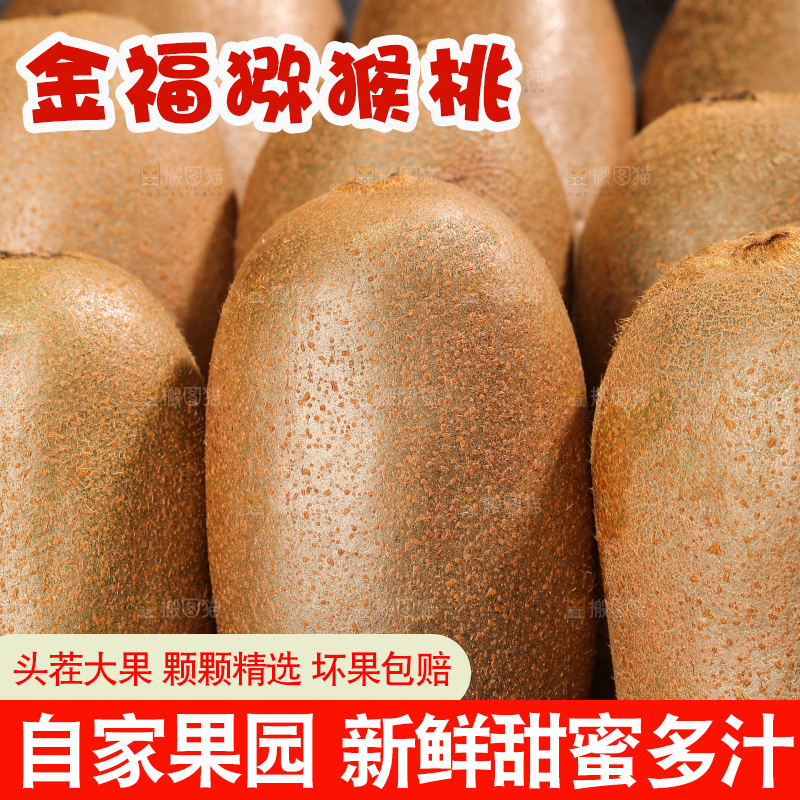 深底上的金福猕猴桃