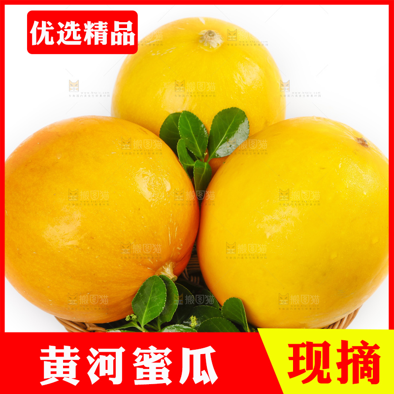 白底上的黄河蜜瓜
