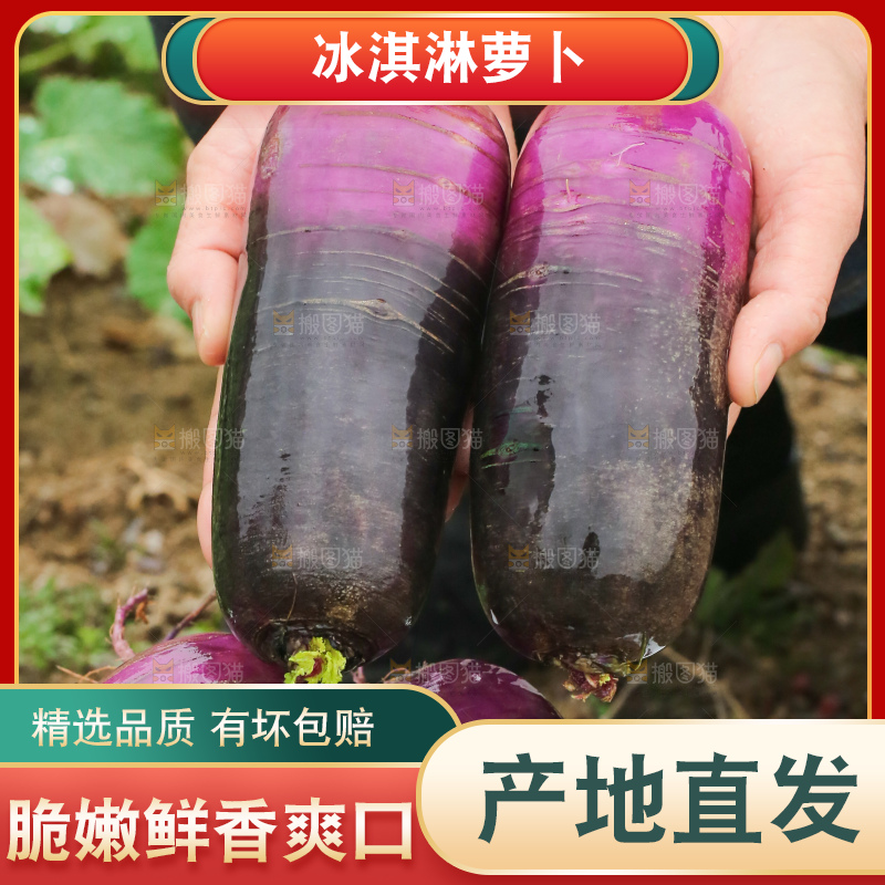 手里拿着冰淇凌萝卜