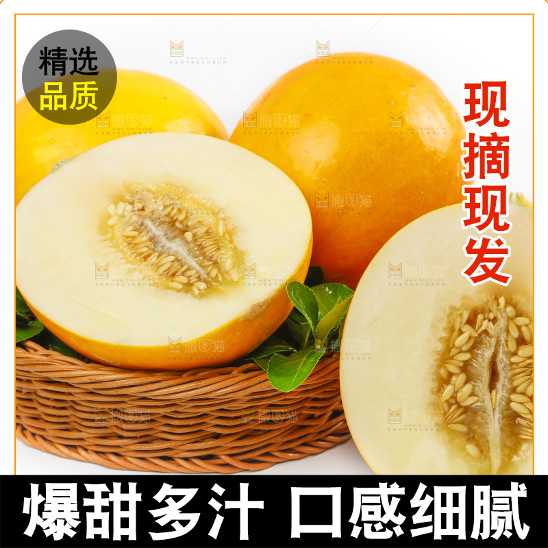 白底上的黄河蜜瓜