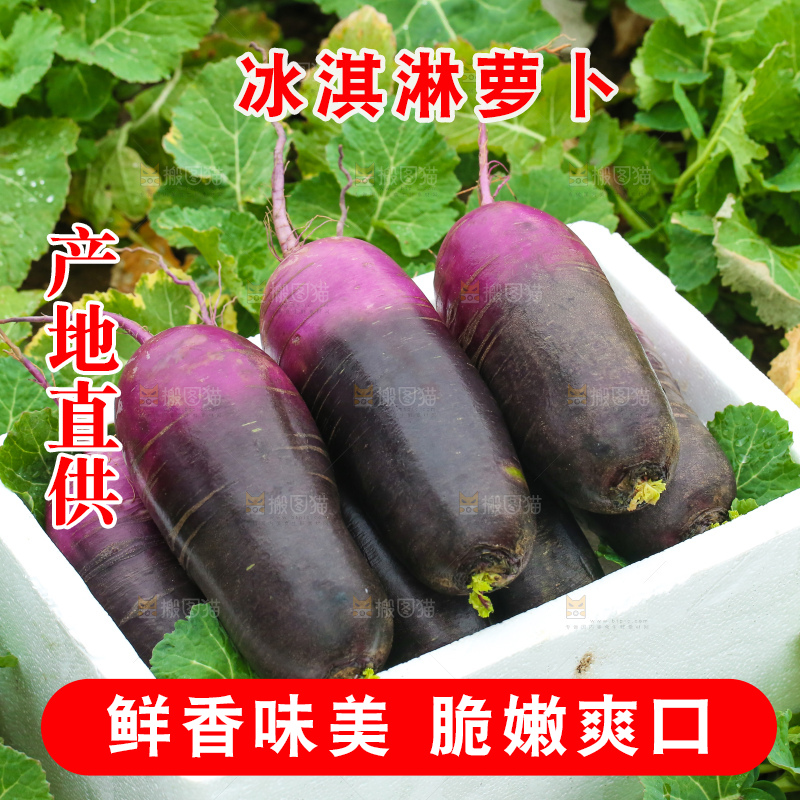 地里的冰淇凌萝卜
