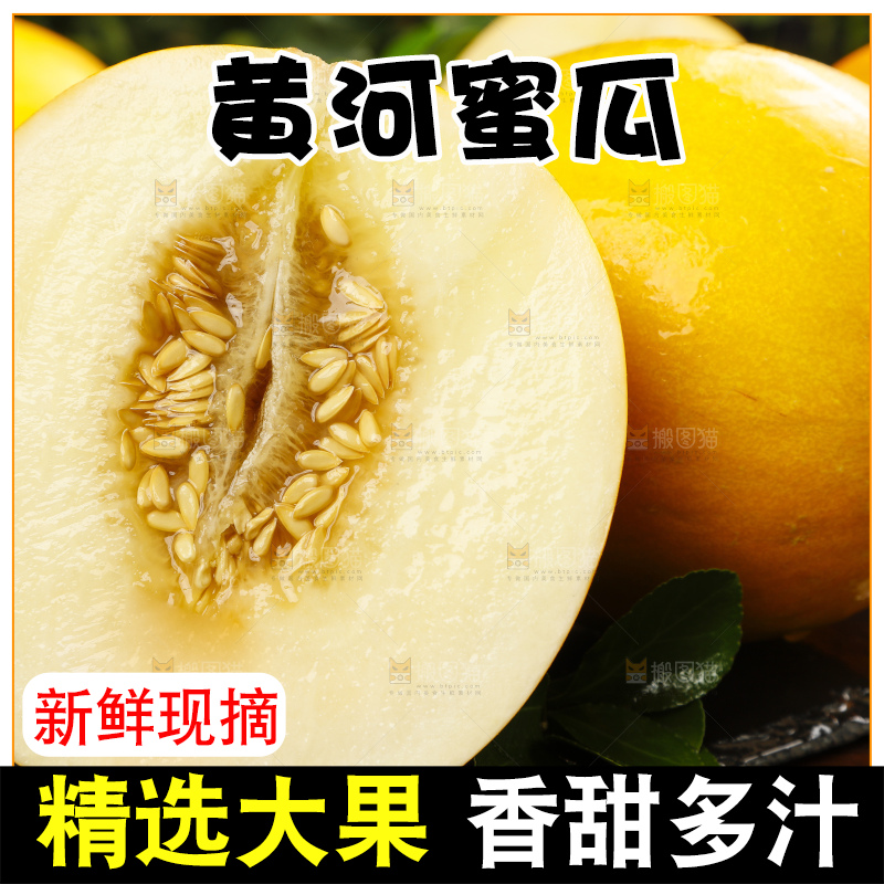 深底上的黄河蜜瓜