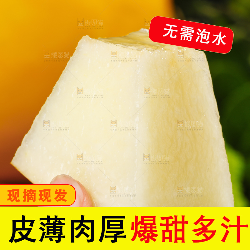 深底上的黄河蜜瓜