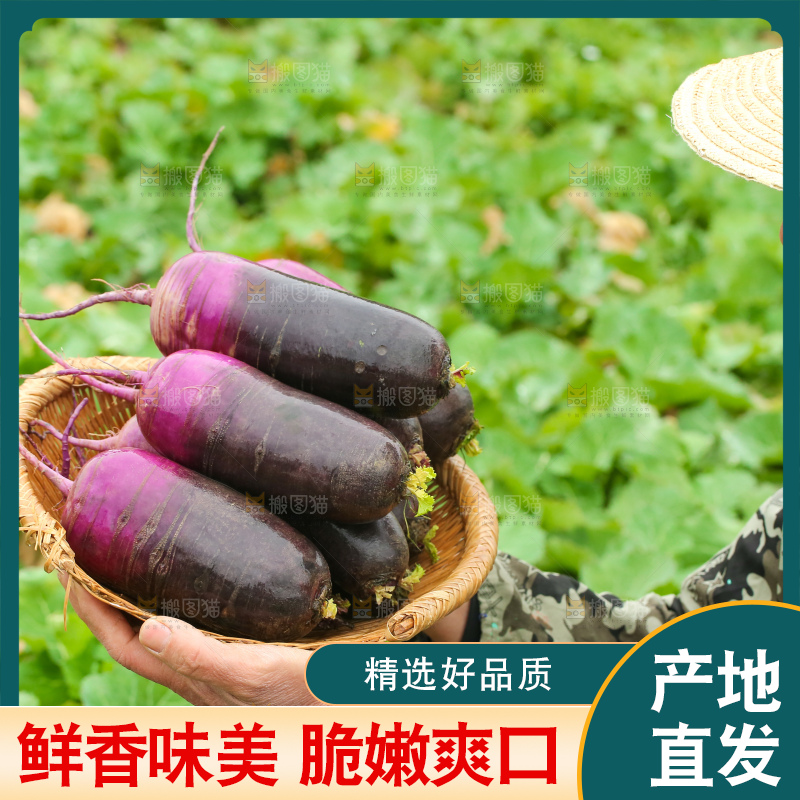 手里拿着冰淇凌萝卜