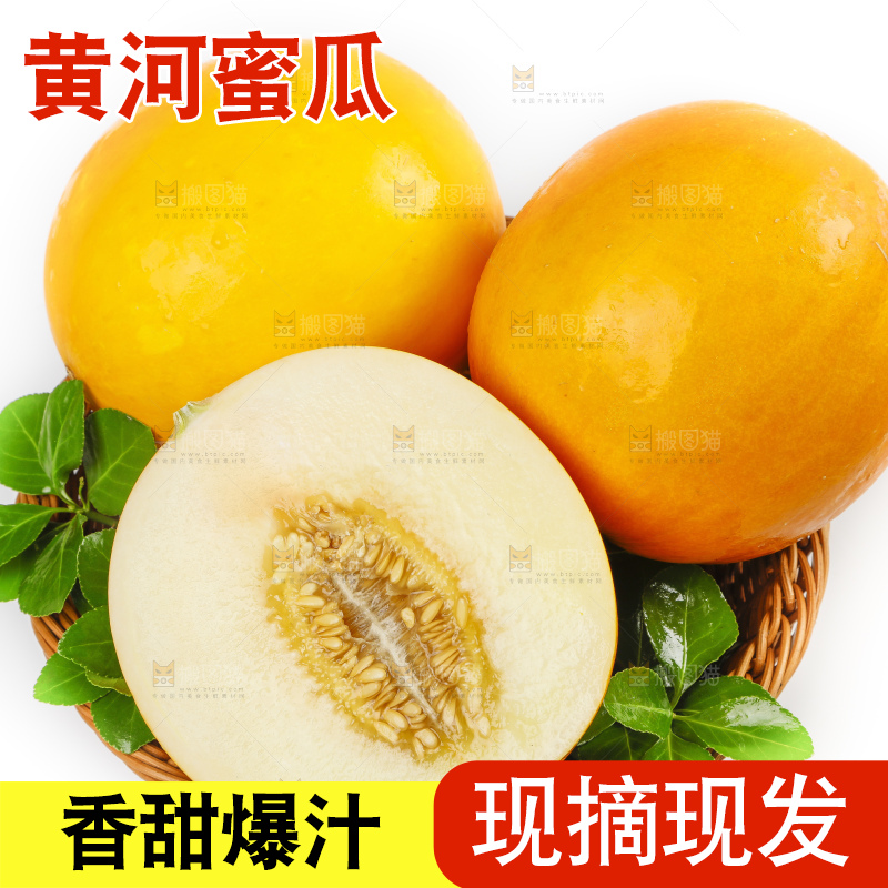 白底上的黄河蜜瓜