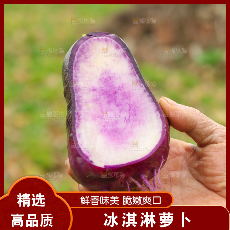 手里拿着冰淇凌萝卜