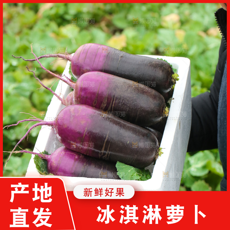 手里拿着冰淇凌萝卜