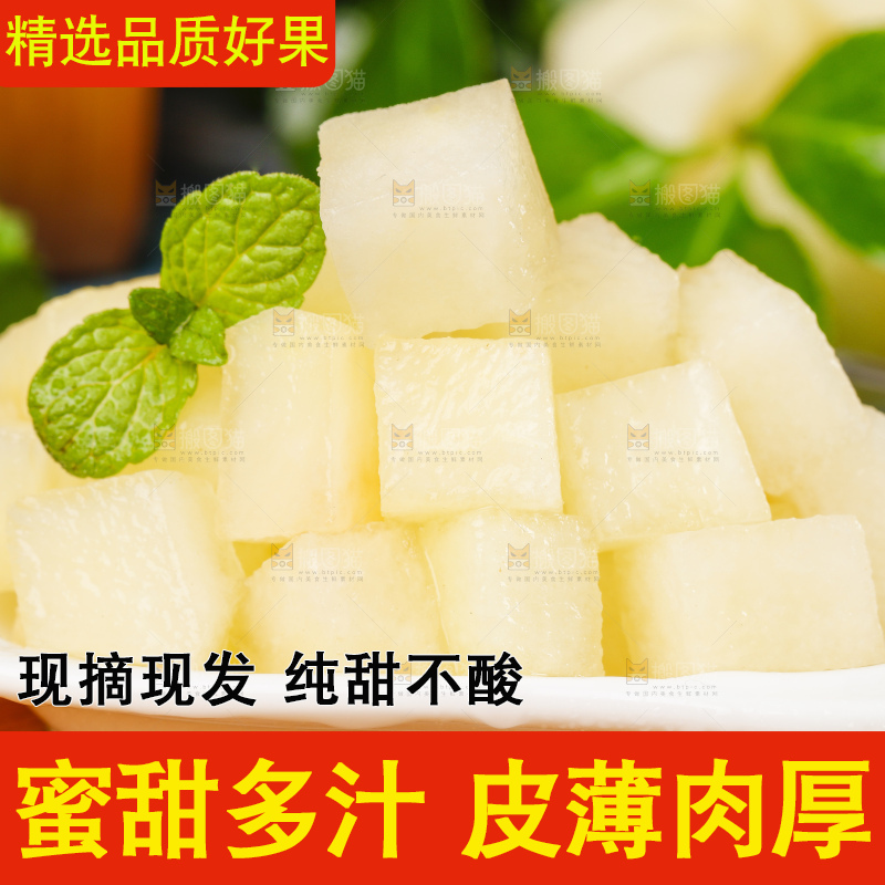 浅底上的黄河蜜瓜