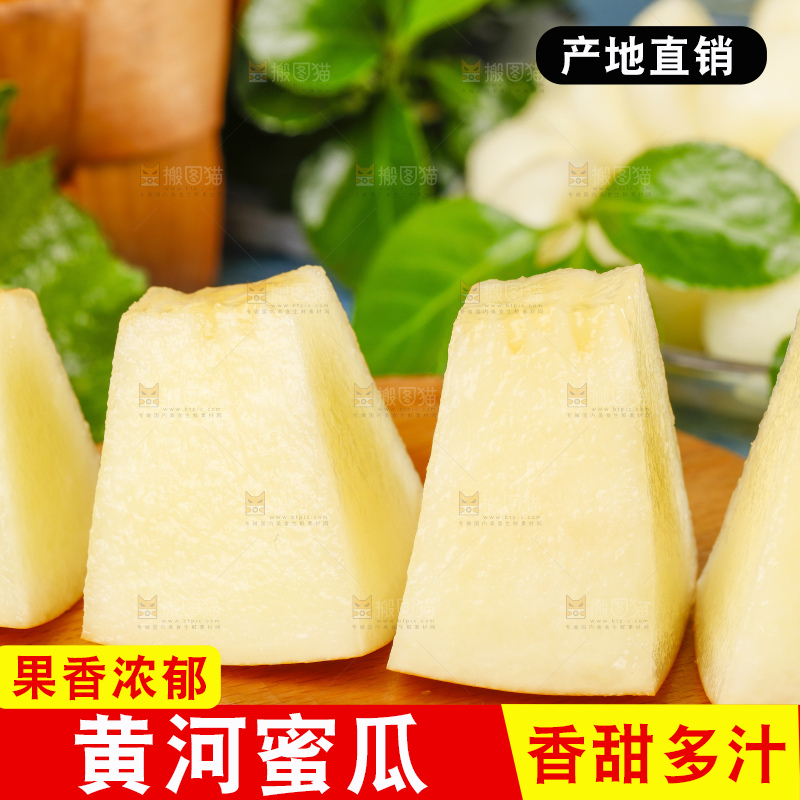 浅底上的黄河蜜瓜