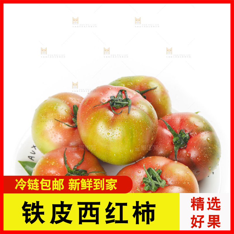 白底上的铁皮西红柿