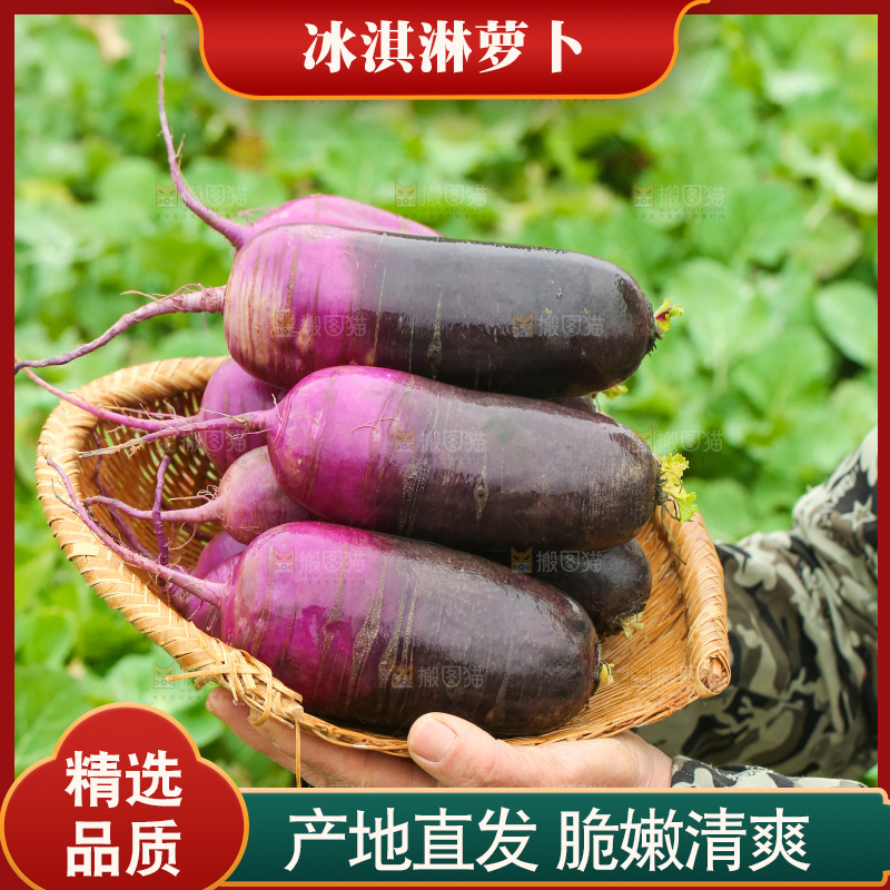 手里拿着冰淇凌萝卜