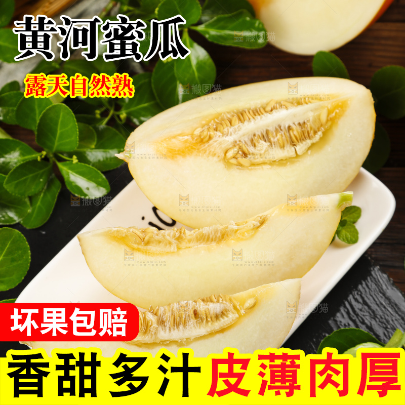 深底上的黄河蜜瓜