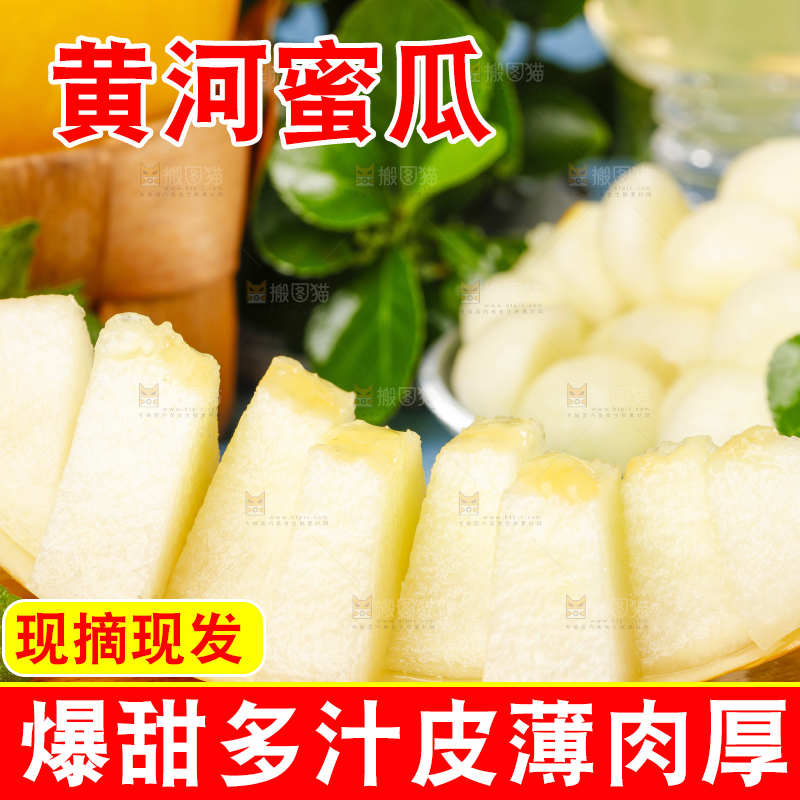 浅底上的黄河蜜瓜