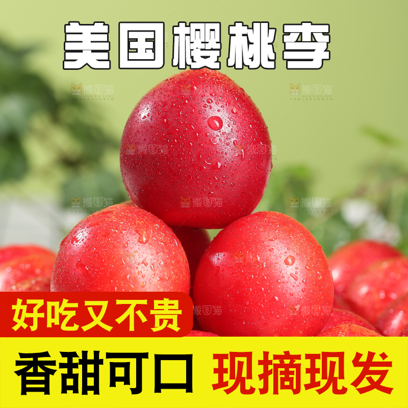 浅底上的樱桃李