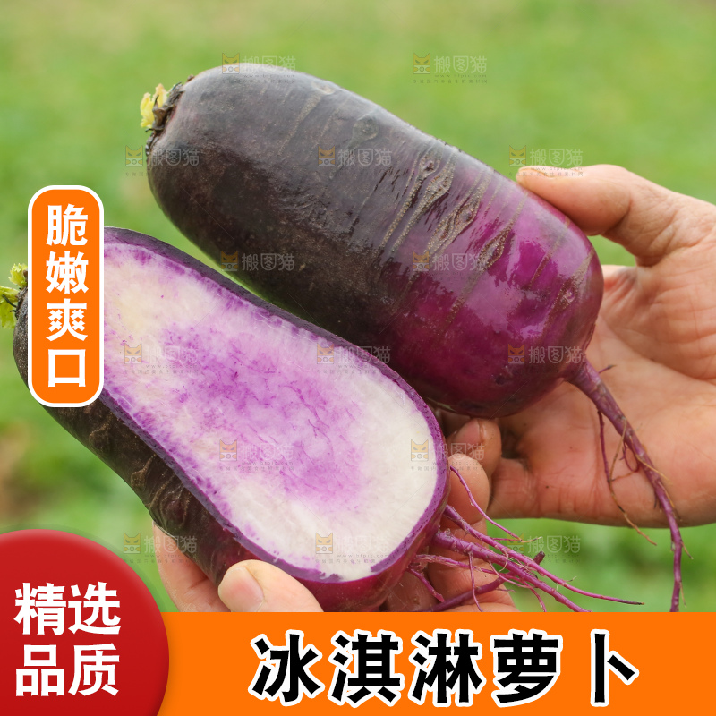 手里拿着冰淇凌萝卜