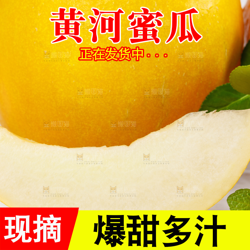 白底上的黄河蜜瓜