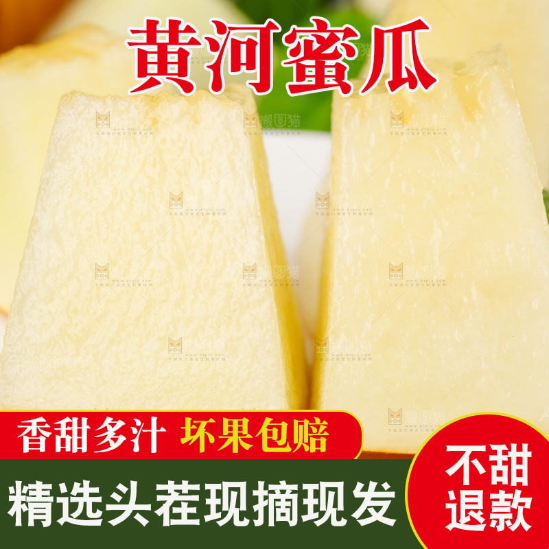 浅底上的黄河蜜瓜