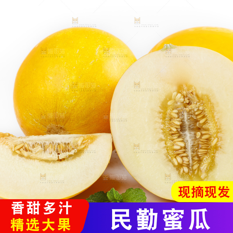 白底上的黄河蜜瓜