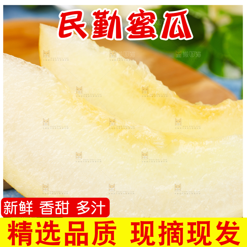 浅底上的黄河蜜瓜
