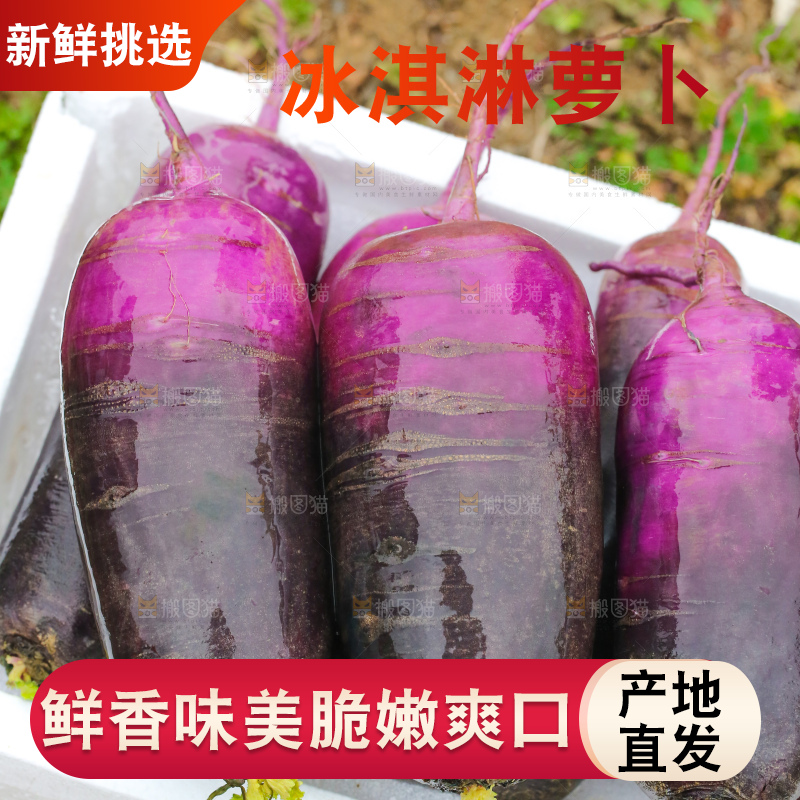 地里的冰淇凌萝卜