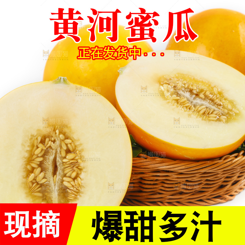 白底上的黄河蜜瓜