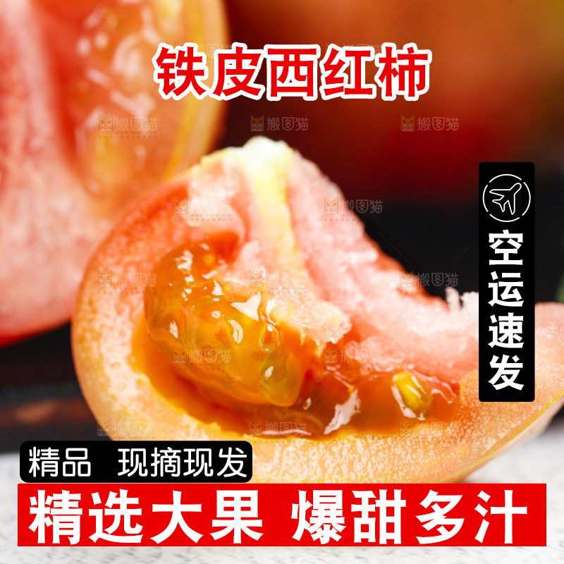 浅底上的铁皮西红柿