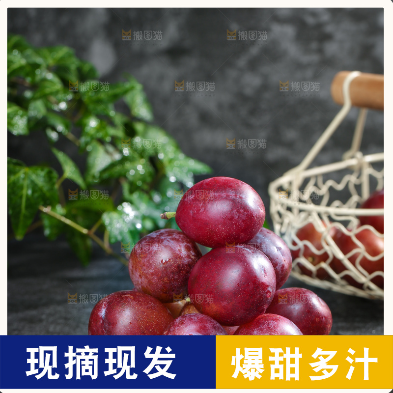 深底上的澳洲西梅