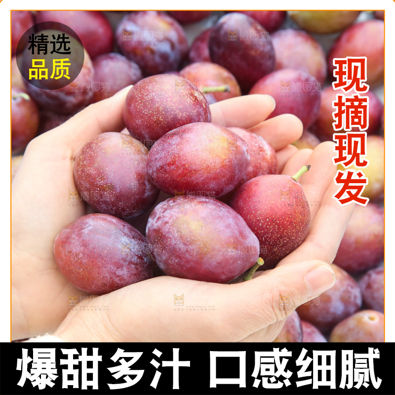 手里拿着澳洲西梅