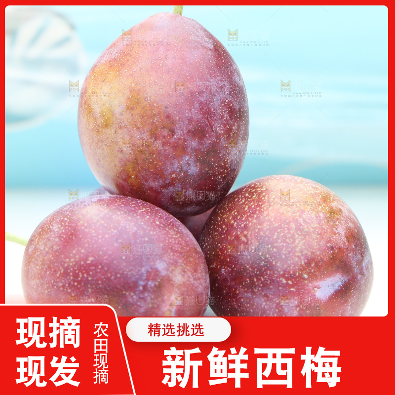 白底上的澳洲西梅