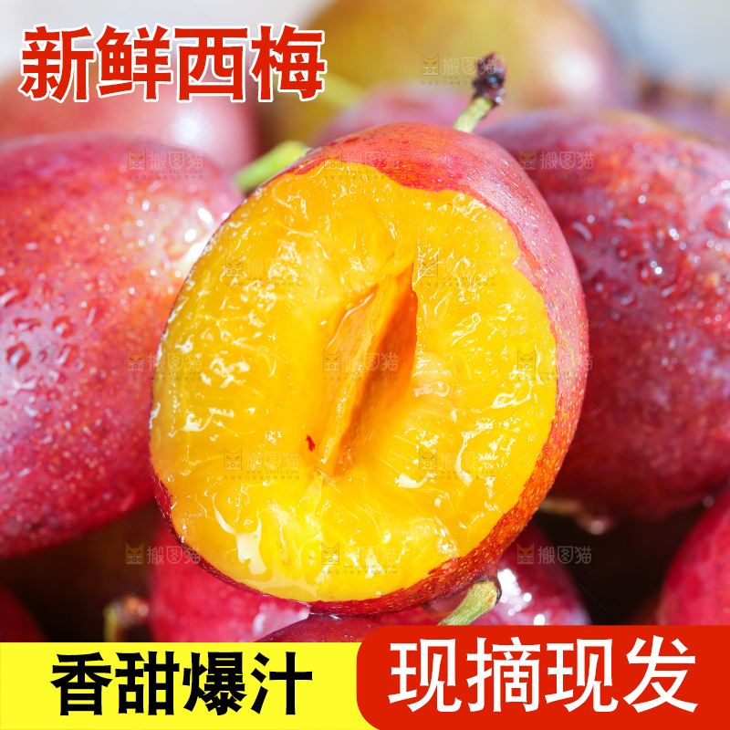 浅底上的澳洲西梅