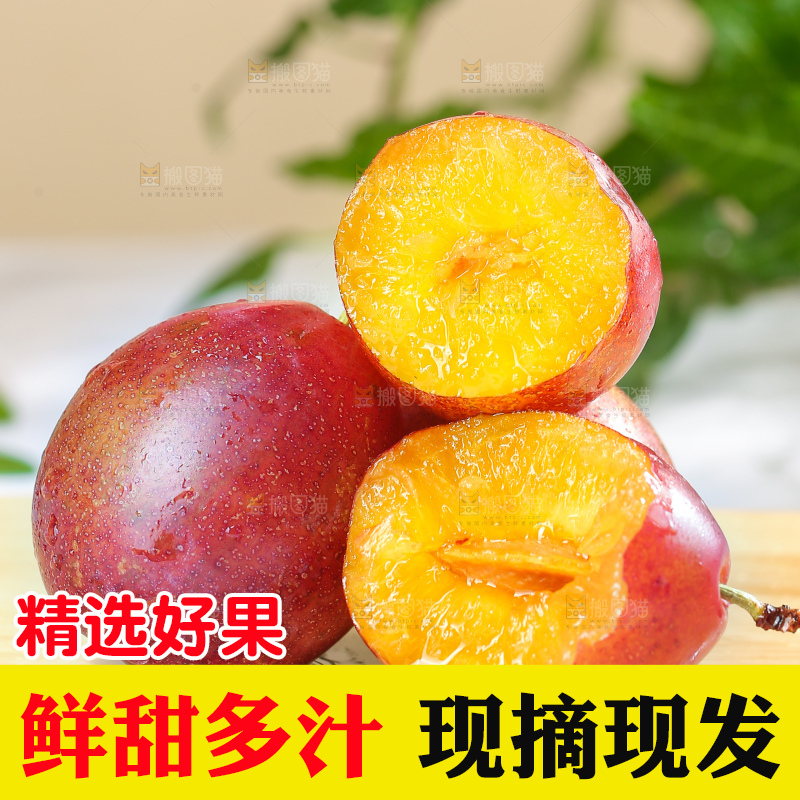 浅底上的澳洲西梅