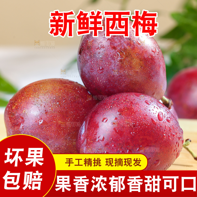 浅底上的澳洲西梅