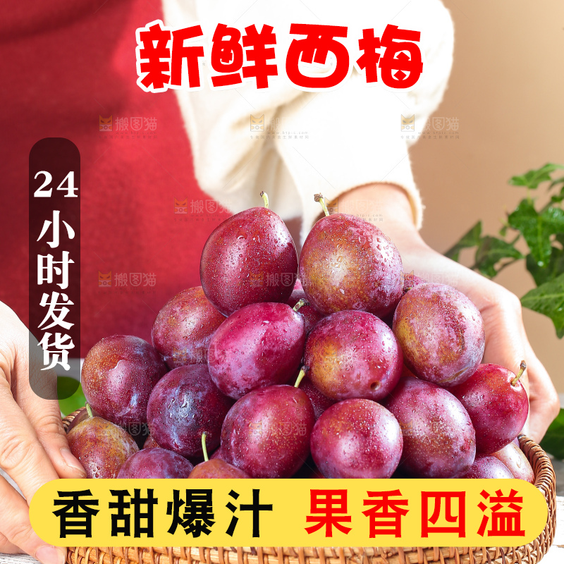 浅底上的澳洲西梅