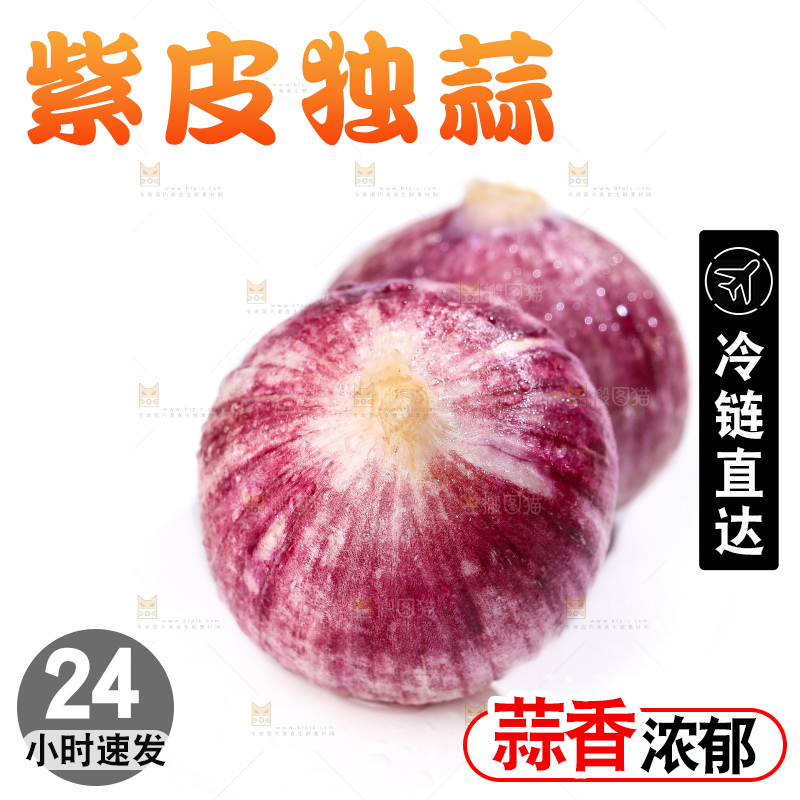 白底上的紫皮独头蒜