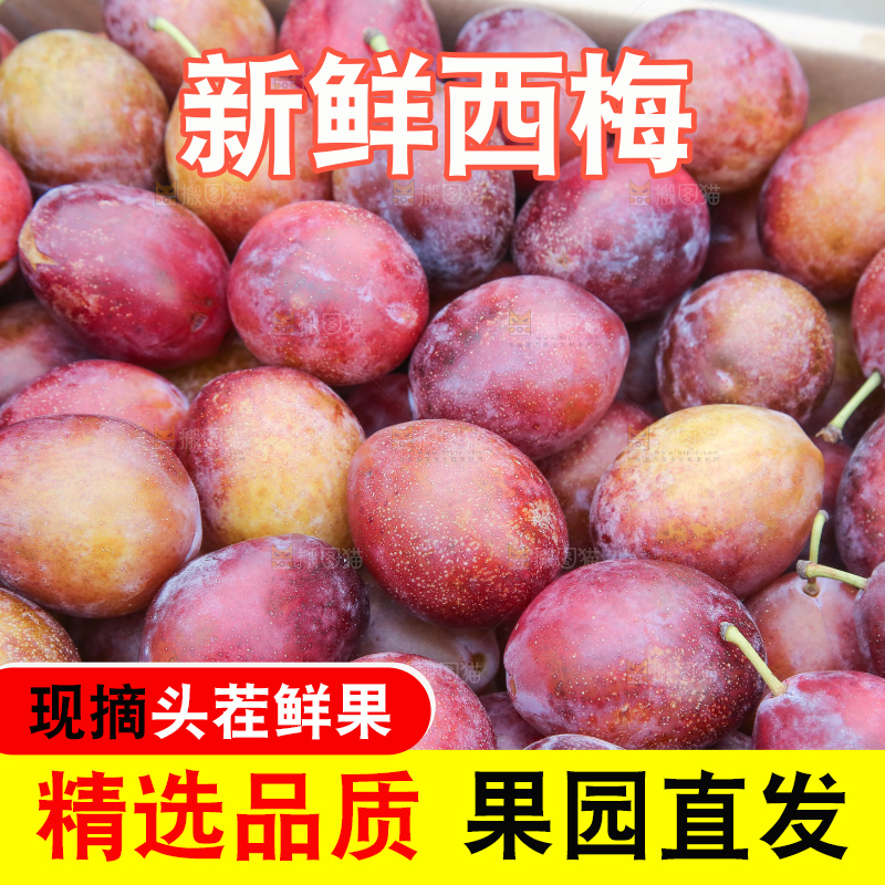 深底上的澳洲西梅