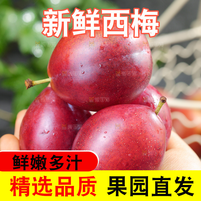 深底上的澳洲西梅