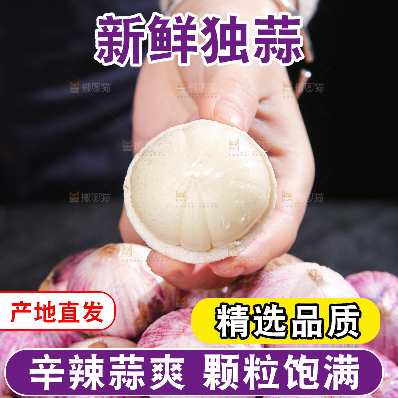 深底上的紫皮独蒜