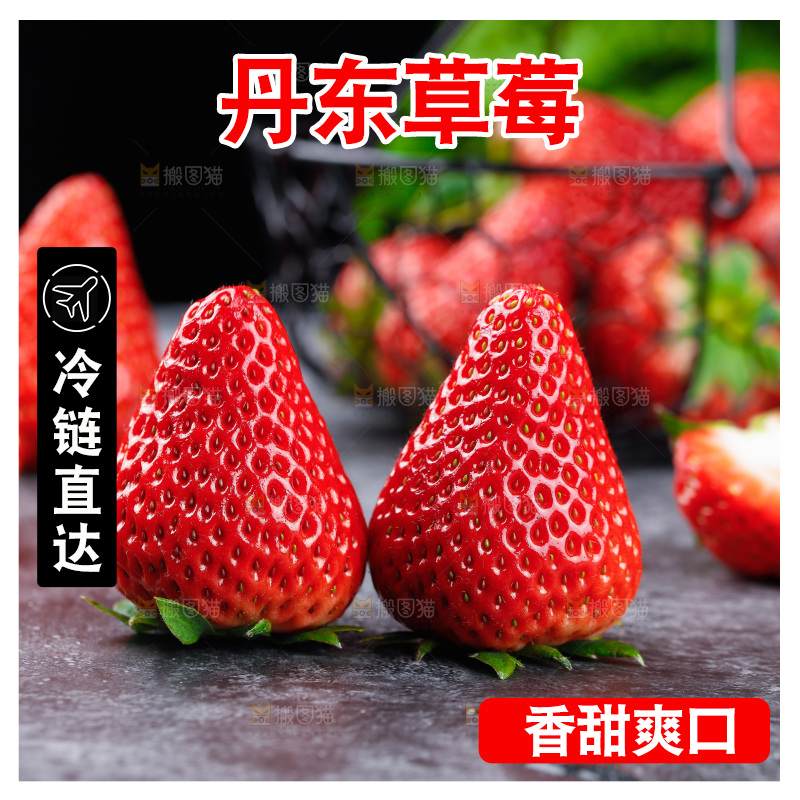 深底上的丹东草莓