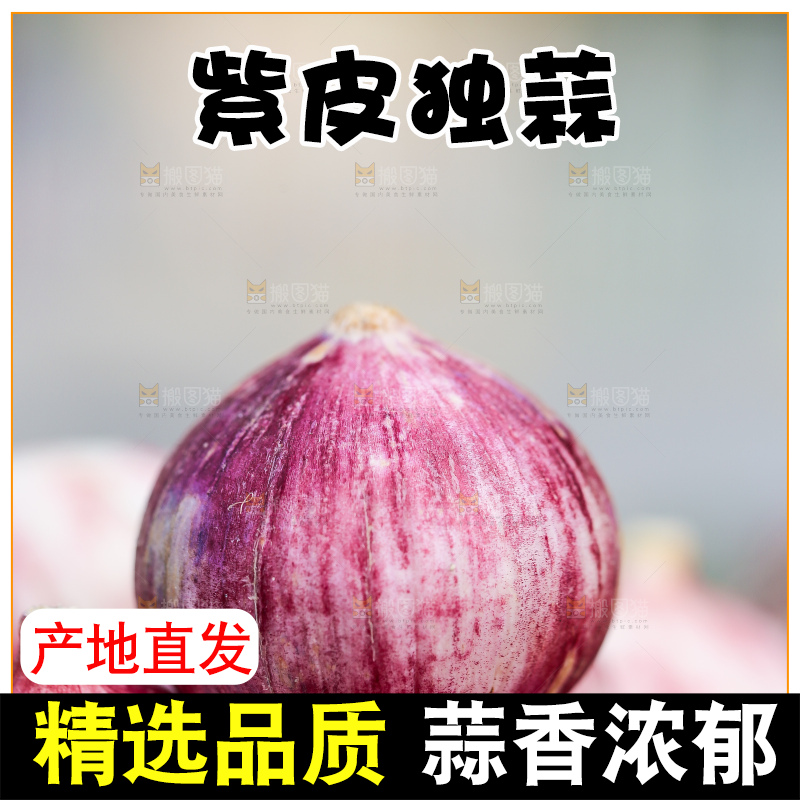 木底上的紫皮独头蒜