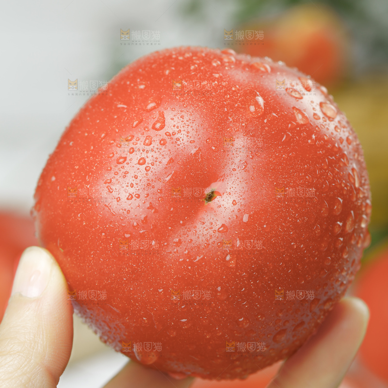 浅底上的普罗旺斯西红柿