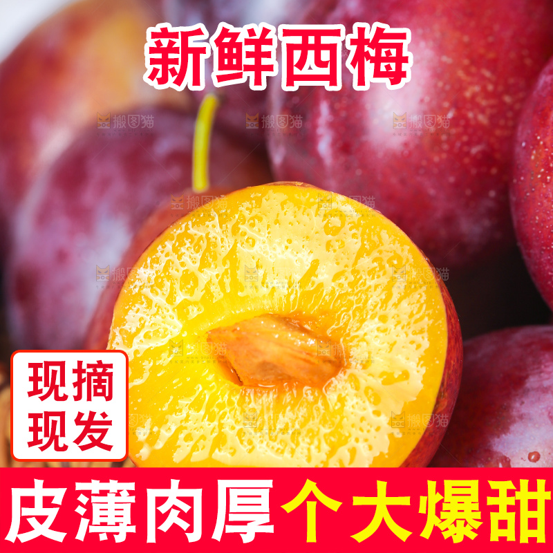 浅底上的澳洲西梅