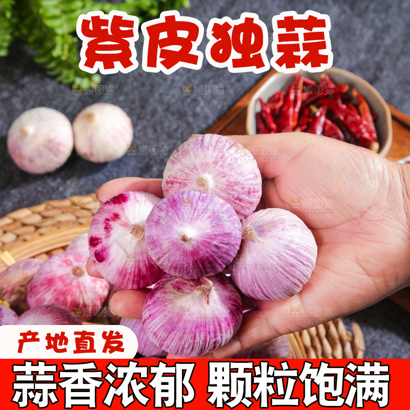 深底上的紫皮独蒜