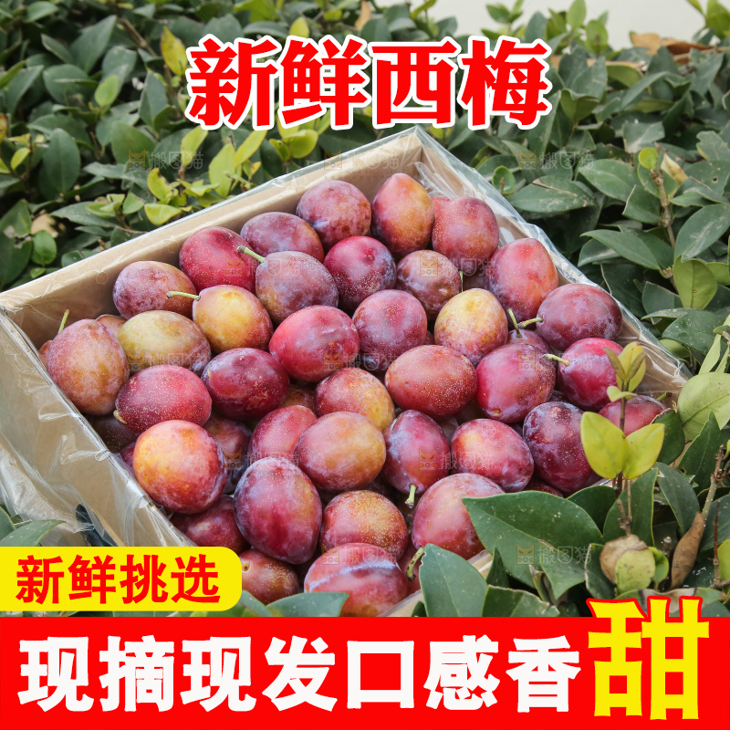 深底上的澳洲西梅